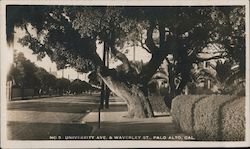 University Ave. and Waverly St., Palo Alto, Cal. Postcard