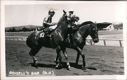 Beverly's Bar Race Horse Postcard