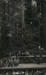 Bohemian Grove: Stage play at an outdoor theater in the woods Postcard