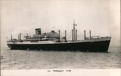Blue Star Line S.S. Paraguay Star at sea Postcard