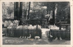 The Shadow Gardens Ben Lomond, CA Postcard Postcard Postcard