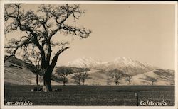 Mt Diablo Postcard