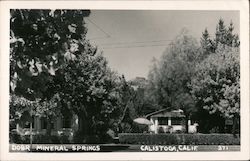 Mineral Springs Calistoga, CA Postcard Postcard Postcard