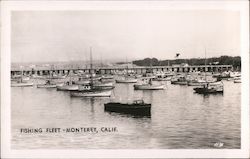 Fishing Fleet Monterey, CA Postcard Postcard Postcard