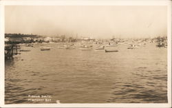 Fishing Boats. Monterey Bay. Postcard