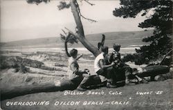Overlooking Dillon Beach. Three boys sitting on log looking at surf Postcard