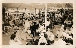 Beneath the canopy at Dr. Locke Clinic Postcard