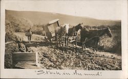 Stuck in the mud. Man unloading wagon that is stuck in mud, three horses Postcard