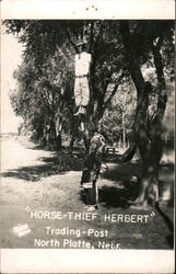 "Horse-thief Herbert" trading-post Postcard