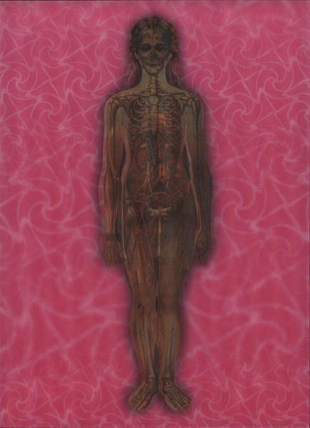 Human figure with X-ray of bones (painting) Modern