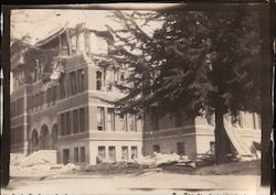 Ruins of West View High School San Jose, CA Original Photograph Original Photograph Original Photograph