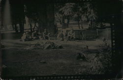 Men camping in the woods Postcard