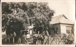 Couple in covered horse-drawn buggy Original Photograph