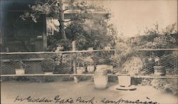Golden Gate Park fenced garden and buildings Original Photograph
