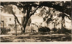 Gardens Hotel Benjamin Franklin Original Photograph