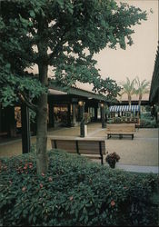 Avenue of the Flowers, shopping Postcard