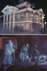 New Orleans Square ghosts Postcard