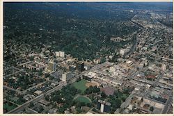 Aerial view of downtown with wooded residential areas San Mateo, CA Postcard Postcard Postcard