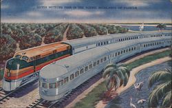 Silver Meteors Pass in the Scenic Highlands of Florida Trains, Railroad Postcard Postcard Postcard