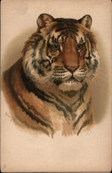 Tiger! - artist signed, embossed Postcard