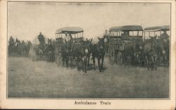 Ambulance Train - YMCA - Wagons pulled by mules Postcard
