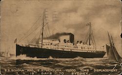 Sydney Short Line: S.S. Sonoma and S.S. Ventura Postcard