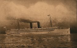 Pacific Navigation Co's str "Harvard" Postcard