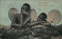 Black Cherubs - Raphael Parody Black Americana Postcard Postcard Postcard