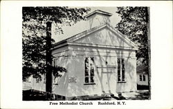 Free Methodist Church Rushford, NY Postcard Postcard