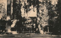 The Lodge, Camp Mather Postcard