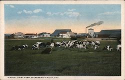 A Model Dairy Farm, Sacramento Valley California Postcard Postcard Postcard