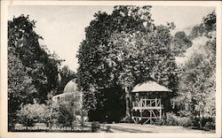 Alum Rock Park Postcard