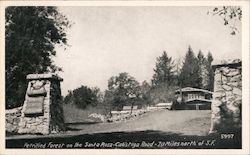 Petrified Forest on the Santa Rosa-Calistoga Road Postcard