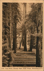 Log Seats, Facing High Jinks Stage, Bohemian Grove Postcard
