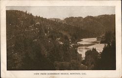View from Suspension Bridge Monte Rio, CA Postcard Postcard Postcard
