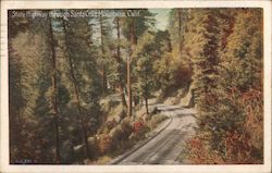 State Highway Throught Santa Cruz Mountains, Calif. Postcard