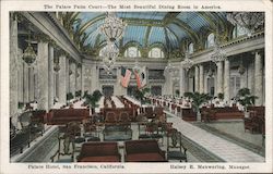 The Palace Palm Court Postcard