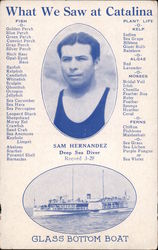 What We Saw At Catalina Postcard