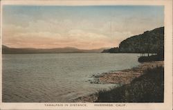 Tamalpais In Distance Postcard