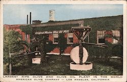 American Olive Company Postcard