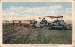 Caterpillar Engine Hauling Beets to Sugar Factory Oxnard, CA Postcard Postcard Postcard