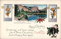 Greetings and Best Wishes for a Merry Christmas and a Happy New Year Postcard