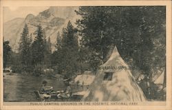 Public Camping Grounds in the Yosemite National Park Postcard