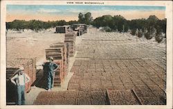 View Near Watsonville. Fruit drying operation at an Orchard. California Postcard Postcard Postcard