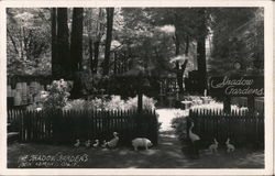 The Shadow Gardens Ben Lomond, CA Postcard Postcard Postcard