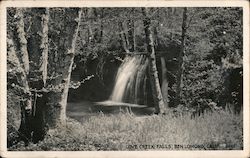 Love Creek Falls Ben Lomond, CA Postcard Postcard Postcard