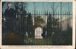 Grave of Theodore Roosevelt Oyster Bay, NY Postcard Postcard Postcard