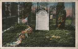 Grave of Theodore Roosevelt Postcard