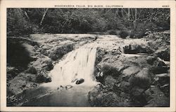 Woodwardia Falls Big Basin, CA Postcard Postcard Postcard