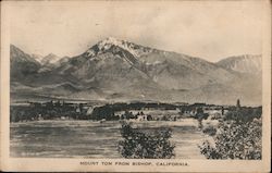 Mount Tom Bishop, CA Postcard Postcard Postcard